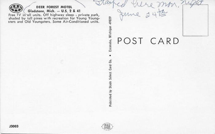 Deer Forest Motel (Sleepy Hollow Motel) - Old Postcard